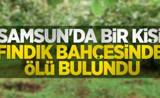 Samsun'da bir kişi fındık bahçesinde ölü bulundu