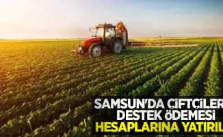 Samsun’da çiftçilerin destek ödemesi hesaplarına yatırıldı
