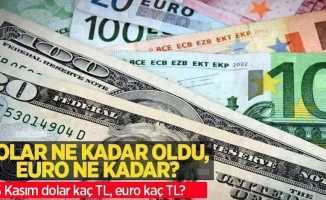 15 Kasım Salı dolar ne kadar oldu, euro ne kadar? 15 Kasım Salı dolar kaç TL, euro kaç TL?