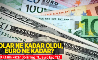 20 Kasım Pazar dolar ne kadar oldu, euro ne kadar? 20 Kasım Pazar dolar kaç TL, euro kaç TL?