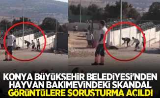 Konya Büyükşehir Belediyesi'nden hayvan bakımevindeki skandal görüntülere soruşturma açıldı
