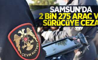 Samsun'da 2 bin 275 araç ve sürücüye ceza