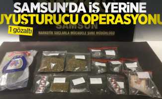 Samsun'da iş yerine uyuşturucu operasyonu: 1 gözaltı