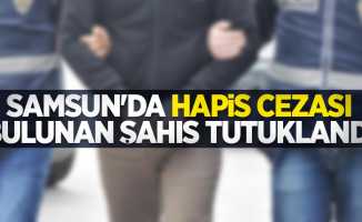 Samsun'da hapis cezası bulunan şahıs tutuklandı