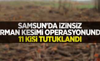 Samsun'da izinsiz orman kesimi operasyonunda 11 kişi tutuklandı