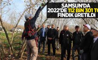 Samsun’da 2022’de 112 bin 301 ton fındık üretildi