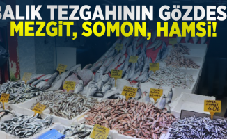 Balık Tezgahlarının Gözdesi Mezgit, Somon ve Hamsi!