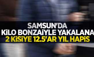 Samsun'da 4 kilo bonzaiyle yakalanan 2 kişiye 12.5'ar yıl hapis