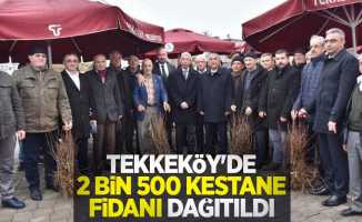 Tekkeköy'de 2 bin 500 kestane fidanı dağıtıldı