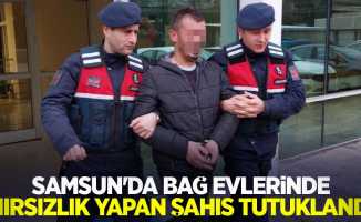 Samsun'da bağ evlerinden hırsızlık yapan şahıs tutuklandı