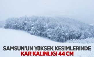 Samsun'un yüksek kesimlerinde kar kalınlığı 44 cm