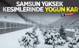 Samsun'un yüksek kesimlerinde yoğun kar