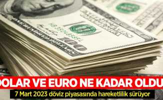 7 Mart Salı dolar ne kadar oldu, euro ne kadar? 7 Mart Salı 2023 dolar kaç TL, euro kaç TL?