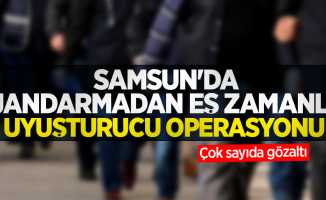 Samsun'da jandarmadan eş zamanlı uyuşturucu operasyonu: Çok sayıda gözaltı