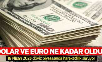 18 Nisan Salı dolar ne kadar oldu, euro ne kadar? 18 Nisan Salı 2023 dolar kaç TL, euro kaç TL?