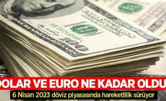 6 Nisan Perşembe dolar ne kadar oldu, euro ne kadar? 6 Nisan Perşembe 2023 dolar kaç TL, euro kaç TL?