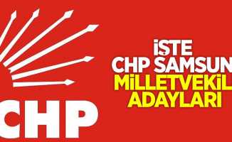 İşte CHP Samsun Milletvekili Adayları 