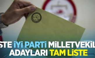 İşte İYİ Parti Milletvekili Adayları tam liste!