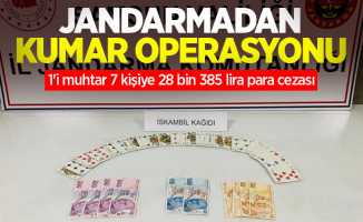 Jandarmadan kumar operasyonu: 1'i muhtar 7 kişiye 28 bin 385 lira para cezası