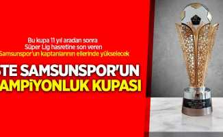 Bu kupa 11 yıl aradan sonra Süper Lig hasretine son veren Samsunspor'un kaptanlarının ellerinde yükselecek. İşte Samsunspor'un şampiyonluk kupası 