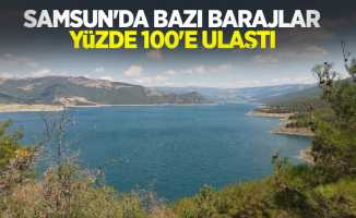 Samsun'da bazı barajlar yüzde 100'e ulaştı