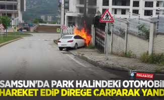 Samsun'da park halindeki otomobil hareket edip direğe çarparak yandı