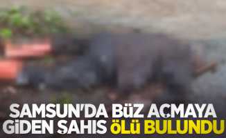 Samsun'da büz açmaya giden şahıs ölü bulundu