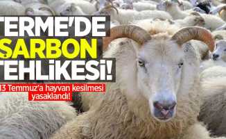 Terme’de şarbon tehlikesi! 13 Temmuz'a hayvan kesilmesi yasaklandı  