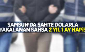 Samsun'da sahte dolarla yakalanan şahsa 2 yıl 1 ay hapis