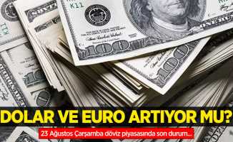 23 Ağustos Çarşamba dolar ne kadar oldu, euro ne kadar?