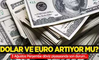 3 Ağustos Perşembe dolar ne kadar oldu, euro ne kadar?
