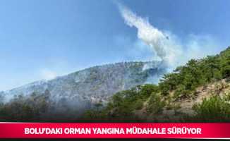 Bolu’daki orman yangına müdahale sürüyor