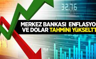 Merkez bankası enflasyon ve dolar tahminini yükseltti
