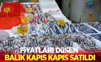 Fiyatları düşen balık kapış kapış satıldı