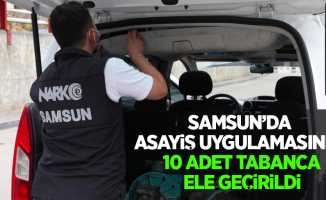 Samsun'da asayiş uygulamasında 10 adet tabanca ele geçirildi