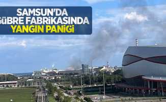 Samsun'da gübre fabrikasında yangın paniği