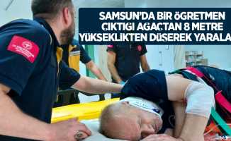 Samsun’da bir öğretmen çıktığı ağaçtan 8 metre yükseklikten düşerek yaralandı