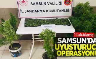 Samsun’da uyuşturucu operasyonu: 1 tutuklama