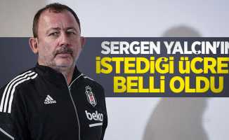 Samsunspor'da teknik direktör arayışları devam ediyor... Sergen Yalçın'ın istediği ücret  belli oldu 