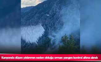 Kanyonda düşen yıldırımın neden olduğu orman yangını kontrol altına alındı
