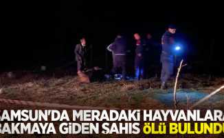 Samsun'da meradaki hayvanlara bakmaya giden şahıs ölü bulundu