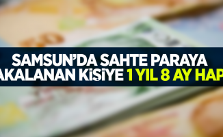 Samsun'da sahte paraya yakalanan kişiye 1 yıl 8 ay hapis