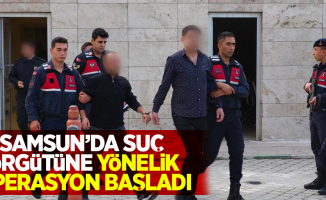 Samsun'da suç örgütüne yönelik oprasyon başladı