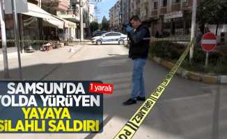Samsun'da yolda yürüyen yayaya silahlı saldırı: 1 yaralı