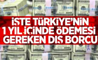 İşte Türkiye'nin 1 yıl içinde ödemesi gereken dış borcu