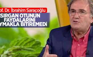 Prof. Dr.İbrahim Saraçoğlu Isırgan otunun faydalarını saymakla bitiremedi