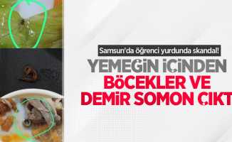 Samsun'da öğrenci yurdunda skandal! Yemeğin içinden böcekler, demir somon çıktı