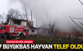 Samsun'da ahır yangını: 7 büyükbaş hayvan telef oldu
