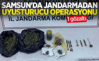 Samsun'da jandarmadan uyuşturucu operasyonu: 1 gözaltı