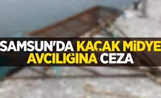 Samsun'da kaçak midye avcılığına ceza